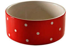 RSPCA Polka Dot Dog Bowl